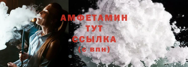 шишки Верхний Тагил