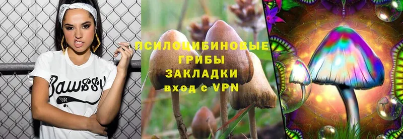 Галлюциногенные грибы Psilocybine cubensis  Петропавловск-Камчатский 